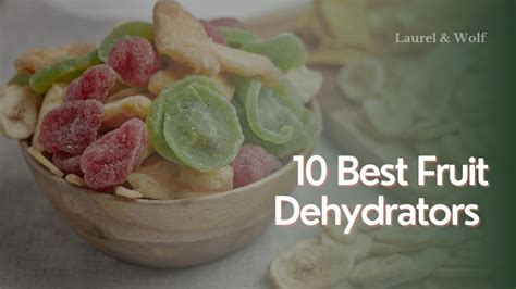10 Best Fruit Dehydrators of 2023: Reviews & Ultimate Guides.